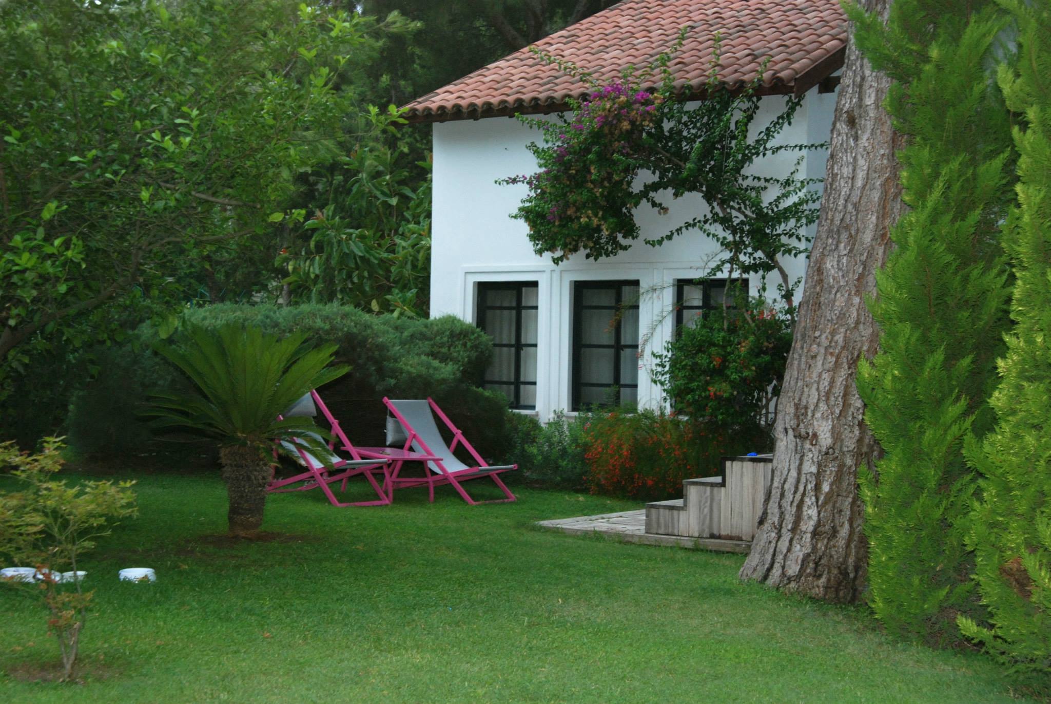 imagini hotel CLUB SALIMA